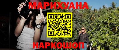 сатива Аргун