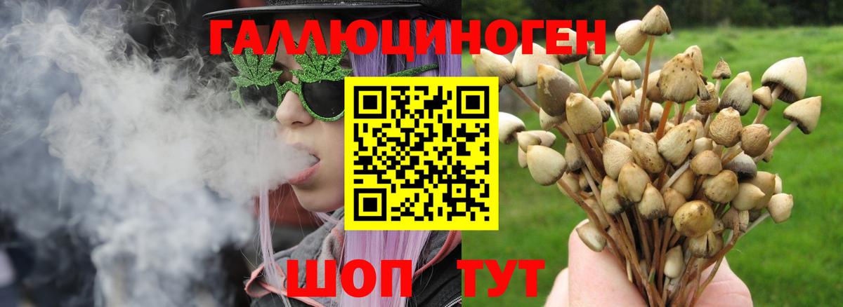 Видное  Галлюциногенные грибы GOLDEN TEACHER  Вход с VPN 
